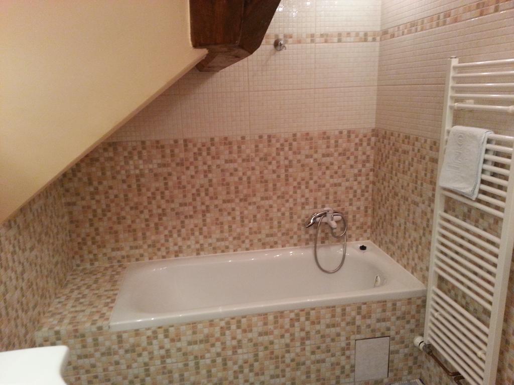 Pension Roky Рокицани Экстерьер фото